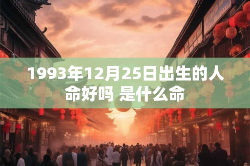 1993年12月25日出生的人命好吗 是什么命