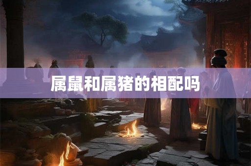 属鼠和属猪的相配吗