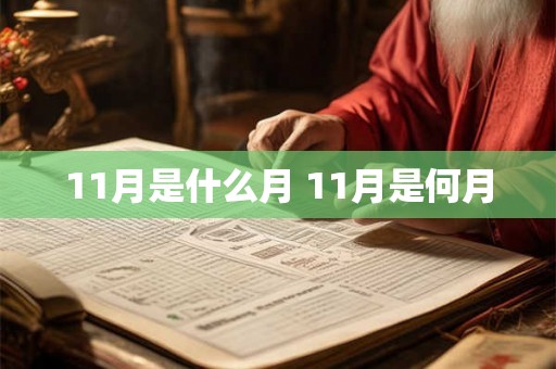 11月是什么月 11月是何月