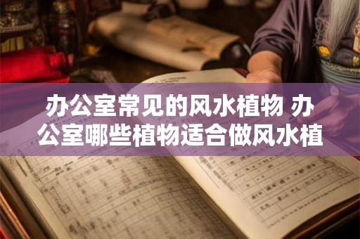 办公室常见的风水植物 办公室哪些植物适合做风水植物