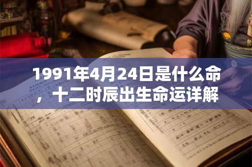 1991年4月24日是什么命，十二时辰出生命运详解