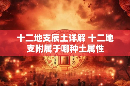 十二地支辰土详解 十二地支附属于哪种土属性 十二地支辰土详解 十二地支附属于哪种土属性