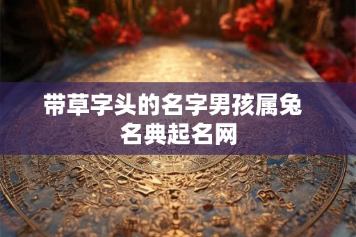 带草字头的名字男孩属兔  名典起名网