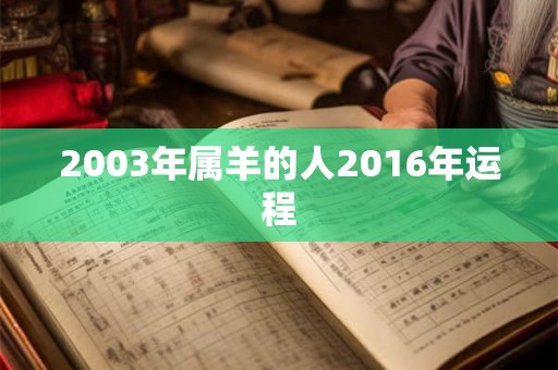 2003年属羊的人2016年运程 2003年属羊的人2016年运程