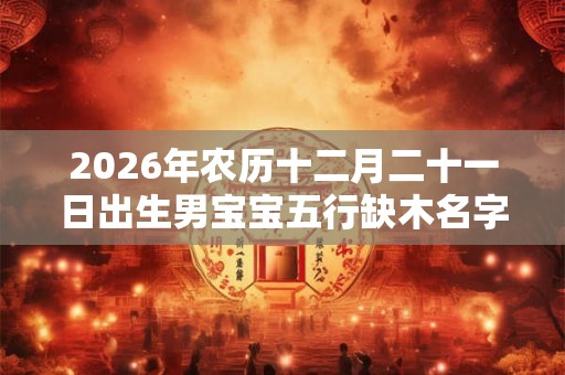 2026年农历十二月二十一日出生男宝宝五行缺木名字精选