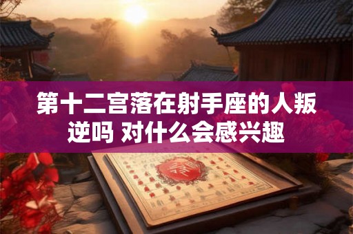 第十二宫落在射手座的人叛逆吗 对什么会感兴趣