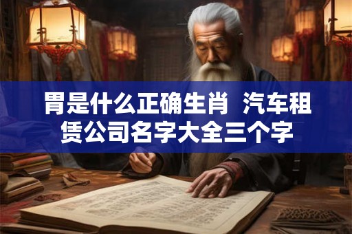 胃是什么正确生肖  汽车租赁公司名字大全三个字