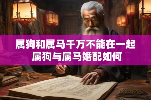 属狗和属马千万不能在一起 属狗与属马婚配如何