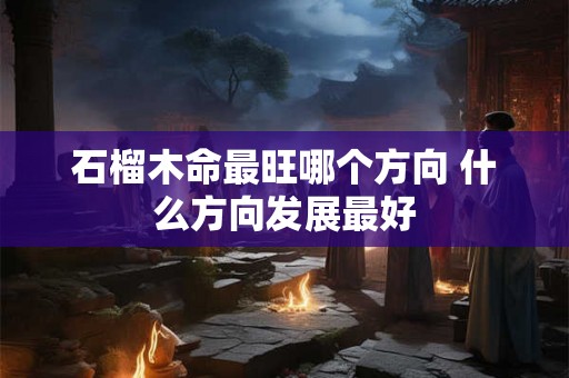 石榴木命最旺哪个方向 什么方向发展最好