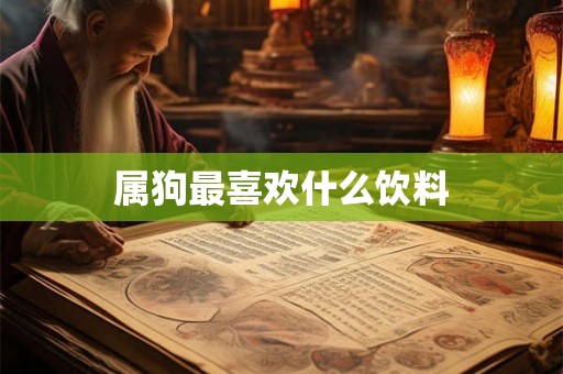 属狗最喜欢什么饮料