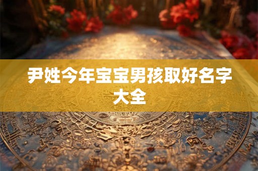 尹姓今年宝宝男孩取好名字大全