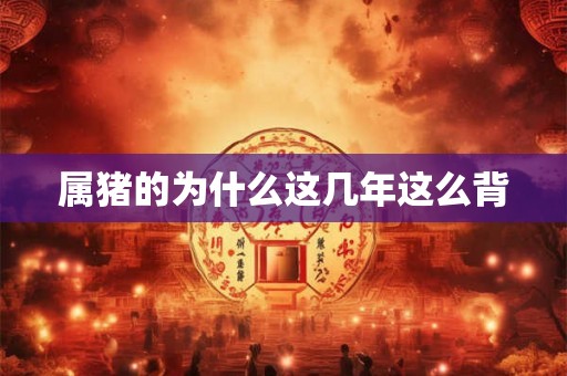 属猪的为什么这几年这么背 属猪的为什么这几年这么背