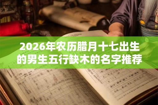 2026年农历腊月十七出生的男生五行缺木的名字推荐
