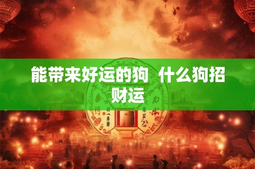 能带来好运的狗 什么狗招财运 能带来好运的狗 什么狗招财运
