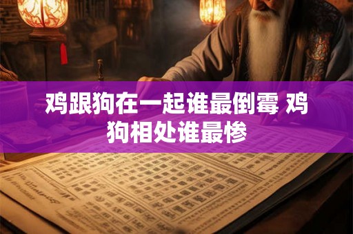 鸡跟狗在一起谁最倒霉 鸡狗相处谁最惨
