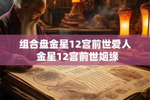 组合盘金星12宫前世爱人  金星12宫前世姻缘