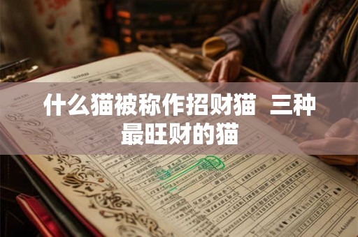 什么猫被称作招财猫  三种最旺财的猫