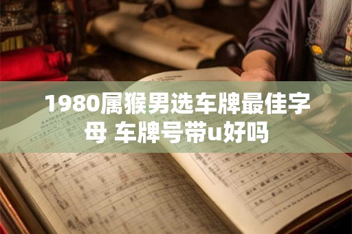 1980属猴男选车牌最佳字母 车牌号带u好吗