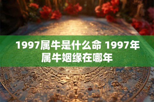 1997属牛是什么命 1997年属牛姻缘在哪年