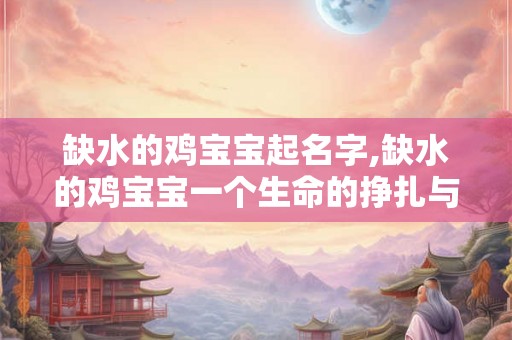 缺水的鸡宝宝起名字,缺水的鸡宝宝一个生命的挣扎与重生