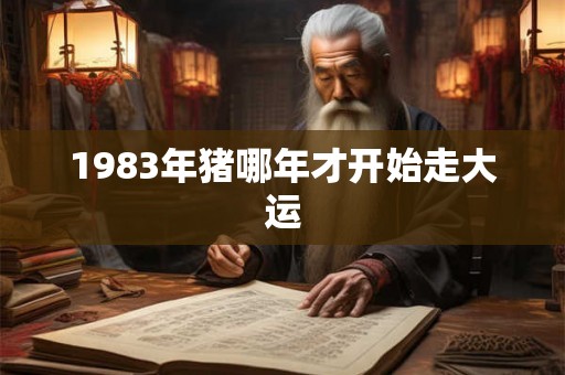 1983年猪哪年才开始走大运