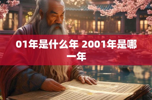 01年是什么年 2001年是哪一年