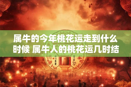属牛的今年桃花运走到什么时候 属牛人的桃花运几时结束 属牛的今年桃花运走到什么时候 属牛人的桃花运几时结束