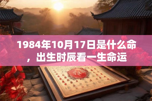 1984年10月17日是什么命，出生时辰看一生命运