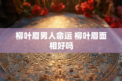 柳叶眉男人命运 柳叶眉面相好吗