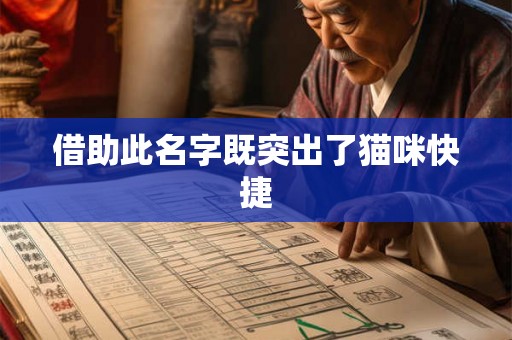 借助此名字既突出了猫咪快捷