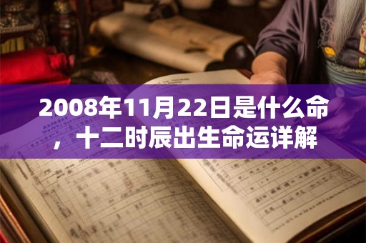 2008年11月22日是什么命,十二时辰出生命运详解 2008年11月22日是什么命,十二时辰出生命运详解
