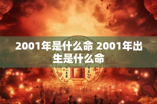 2001年是什么命 2001年出生是什么命