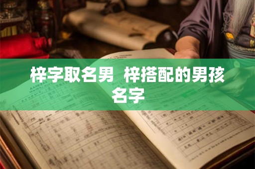 梓字取名男  梓搭配的男孩名字