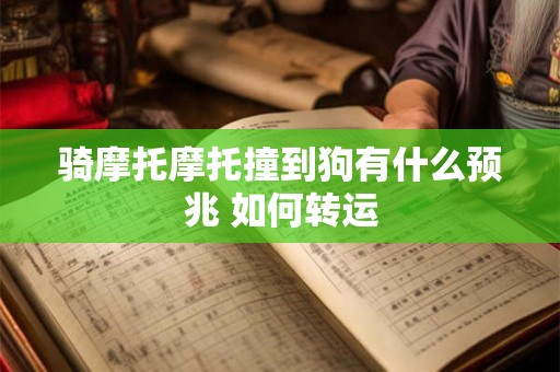 骑摩托摩托撞到狗有什么预兆 如何转运