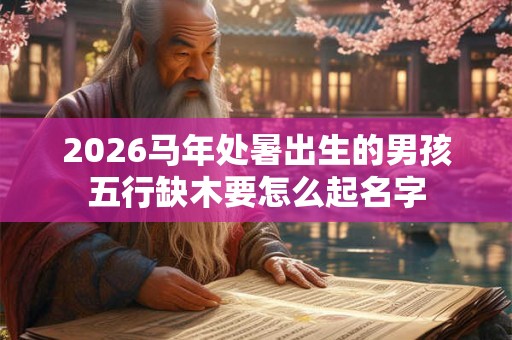 2026马年处暑出生的男孩五行缺木要怎么起名字