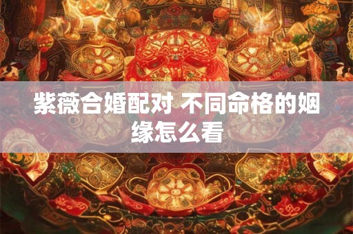 紫薇合婚配对 不同命格的姻缘怎么看
