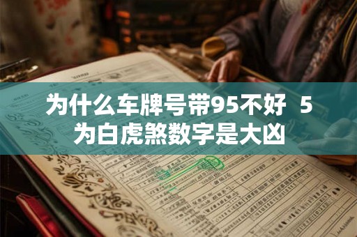 为什么车牌号带95不好  5为白虎煞数字是大凶
