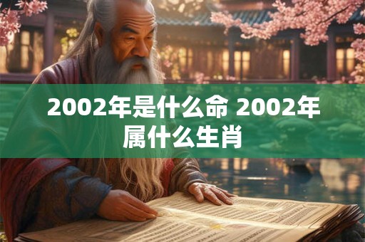 2002年是什么命 2002年属什么生肖