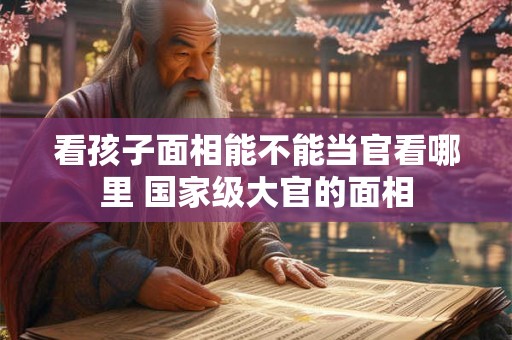 看孩子面相能不能当官看哪里 国家级大官的面相