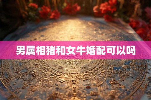 男属相猪和女牛婚配可以吗 男属相猪和女牛婚配可以吗