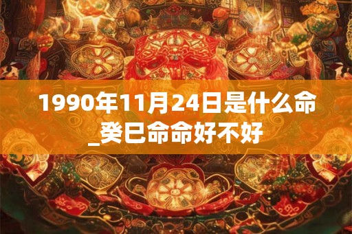 1990年11月24日是什么命_癸巳命命好不好