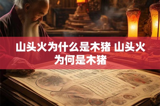 山头火为什么是木猪 山头火为何是木猪