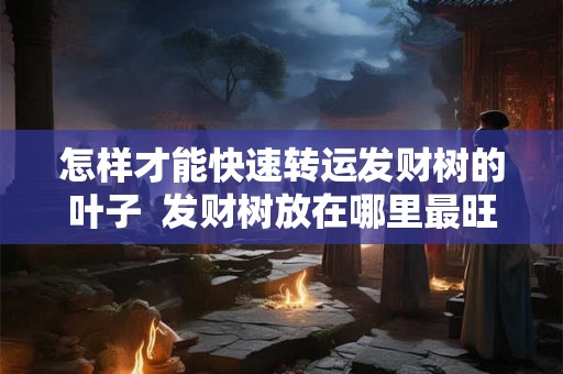 怎样才能快速转运发财树的叶子 发财树放在哪里最旺财 怎样才能快速转运发财树的叶子 发财树放在哪里最旺财