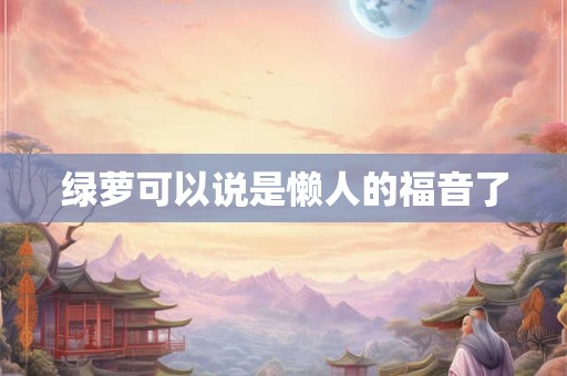 绿萝可以说是懒人的福音了