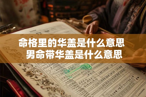 命格里的华盖是什么意思  男命带华盖是什么意思