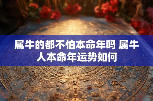 属牛的都不怕本命年吗 属牛人本命年运势如何