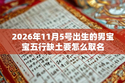 2026年11月5号出生的男宝宝五行缺土要怎么取名