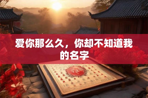 爱你那么久，你却不知道我的名字