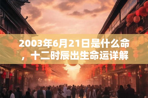2003年6月21日是什么命，十二时辰出生命运详解