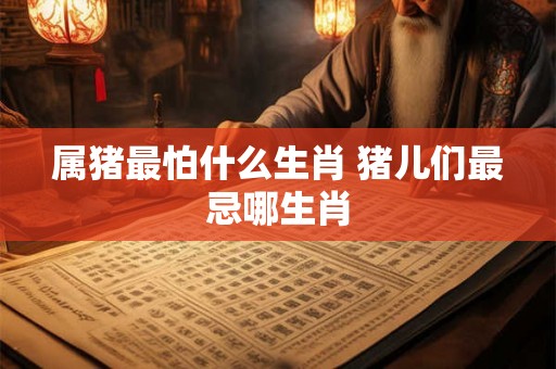 属猪最怕什么生肖 猪儿们最忌哪生肖 属猪最怕什么生肖 猪儿们最忌哪生肖
